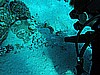 IMG_1456.JPG