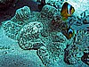 IMG_1458.JPG