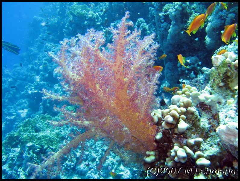 IMG_1537.JPG