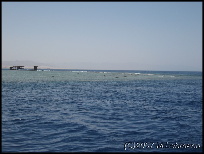 IMG_1555.JPG