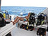 IMG_1481.JPG