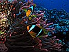 IMG_1484.JPG