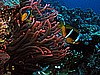 IMG_1485.JPG