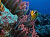 IMG_1486.JPG