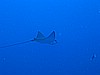 IMG_1497.JPG
