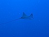 IMG_1498.JPG