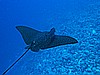 IMG_1504.JPG