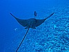 IMG_1505.JPG