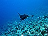 IMG_1510.JPG