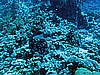 IMG_1511.JPG
