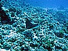 IMG_1512.JPG