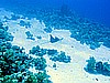 IMG_1513.JPG