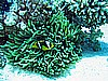 IMG_1514.JPG