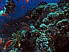 IMG_1521.JPG