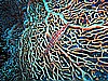 IMG_1523.JPG