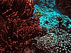 IMG_1524.JPG