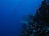 IMG_1528.JPG