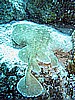 IMG_1532.JPG
