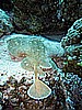 IMG_1535.JPG