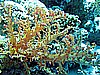 IMG_1536.JPG