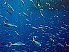 IMG_1546.JPG