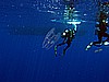 IMG_1547.JPG