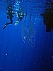 IMG_1548.JPG