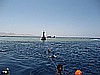 IMG_1551.JPG