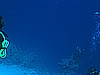 IMG_1558.JPG