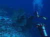 IMG_1561.JPG