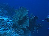 IMG_1562.JPG