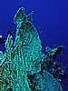 IMG_1563.JPG
