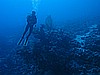 IMG_1564.JPG