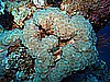 IMG_1566.JPG