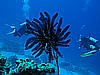 IMG_1570.JPG