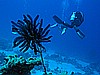 IMG_1571.JPG