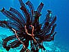 IMG_1572.JPG