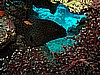 IMG_1573.JPG