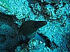 IMG_1574.JPG
