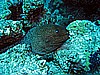 IMG_1576.JPG