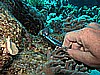 IMG_1578.JPG