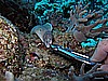 IMG_1579.JPG