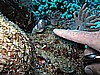IMG_1580.JPG