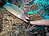 IMG_1582.JPG