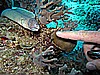 IMG_1583.JPG