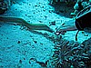 IMG_1586.JPG