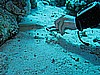 IMG_1587.JPG