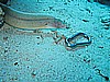 IMG_1588.JPG