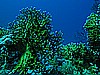 IMG_1590.JPG