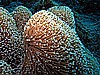 IMG_1599.JPG